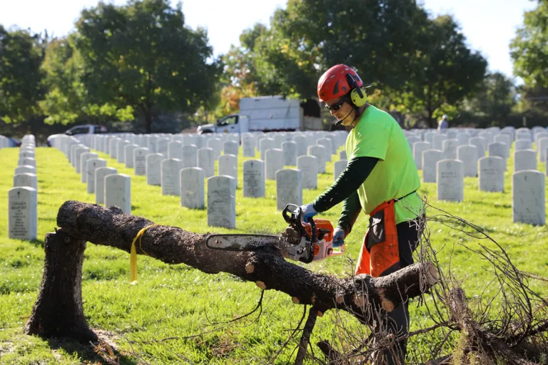 Saluting Branches event