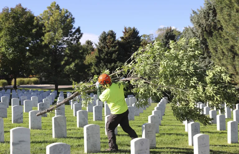 Saluting Branches event