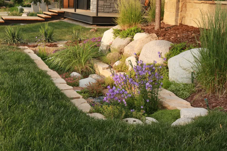 Residential rain gardens in Trailhead Neighborhood