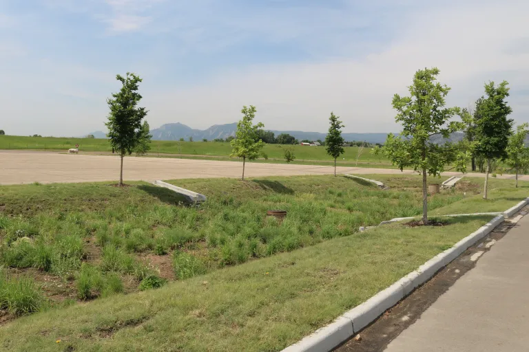 Parking lot bioretention at Boulder Reservoir