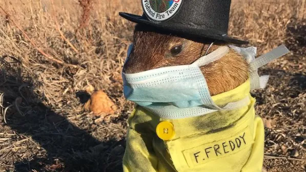Flatiron Freddy to make his prediction on Groundhog Day