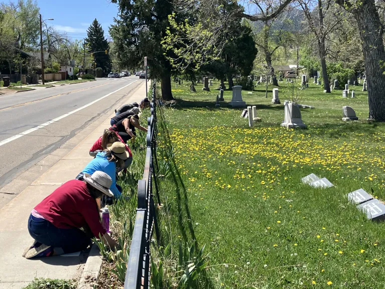 Parks & Rec Volunteers