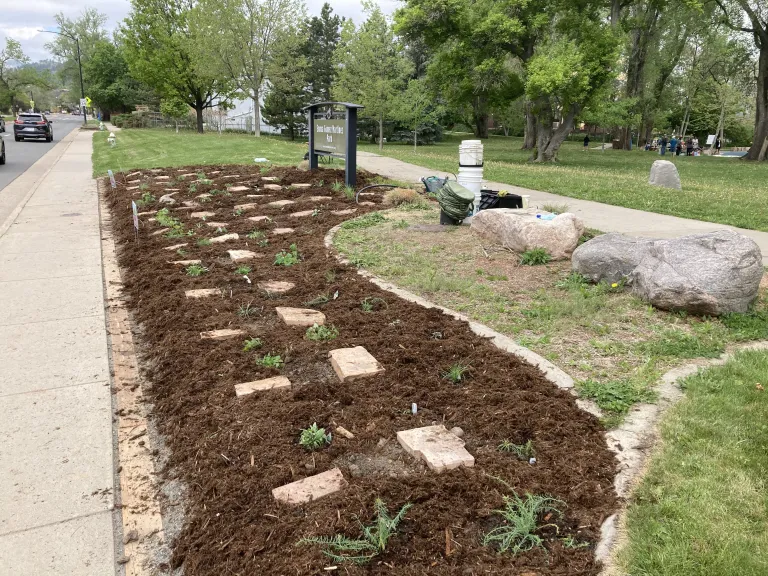 Freshly planted water efficient garden located at Emma Gomez Park