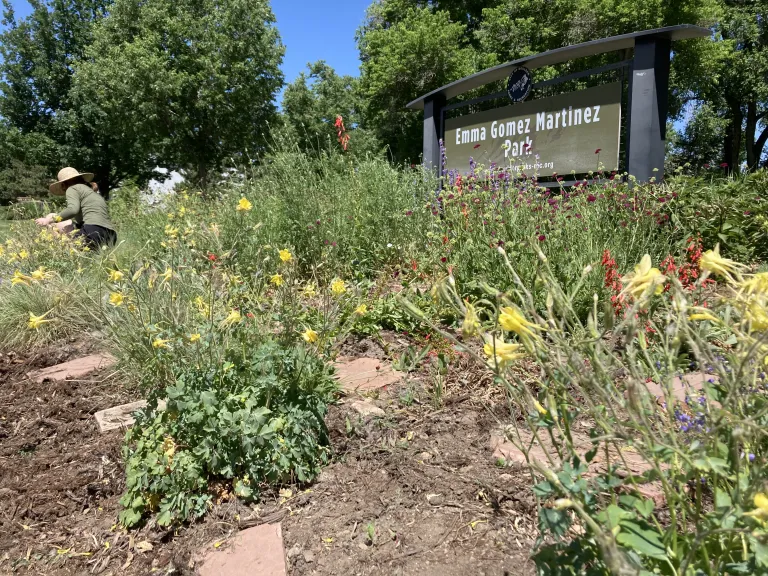 Emma Gomez Park Demo Garden Year 2
