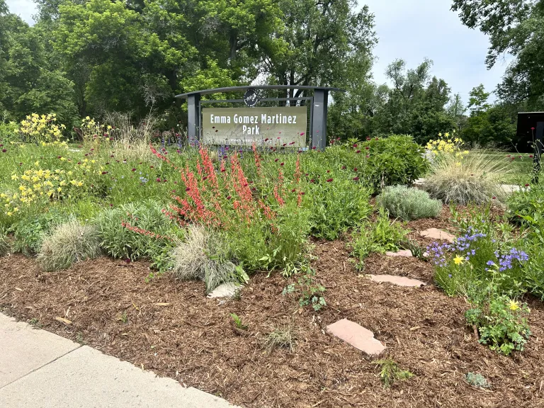 Emma Gomez Park Demo Garden Year 3