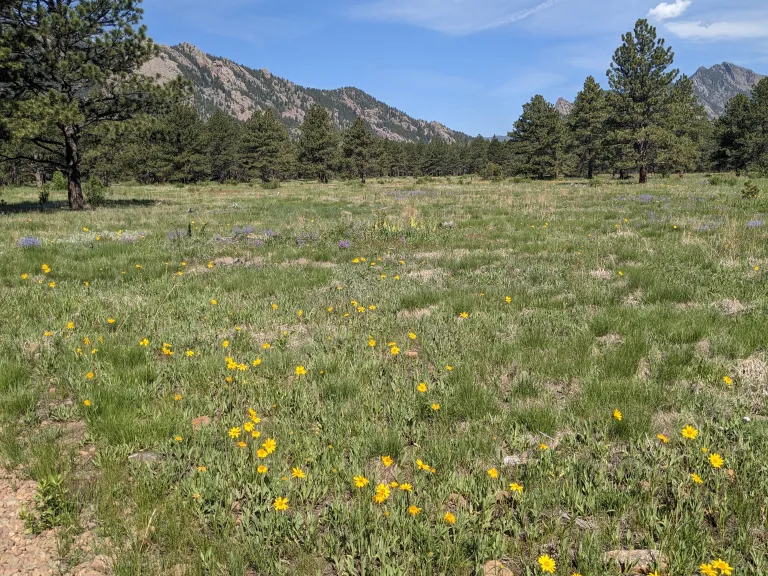 Flatirons Vista South Trail in spring