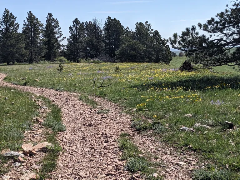 Flatirons Vista South Trail in spring