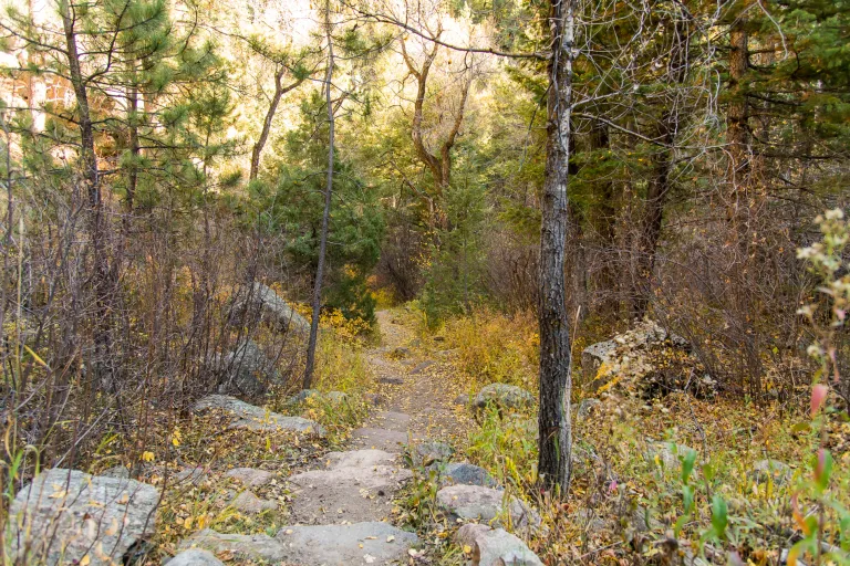 Bear Canyon Trail in Autumn