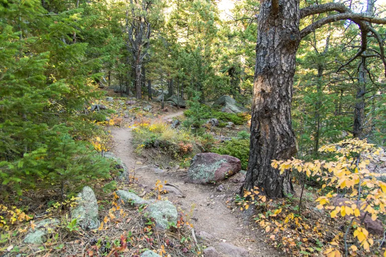 Bear Canyon Trail in Autumn
