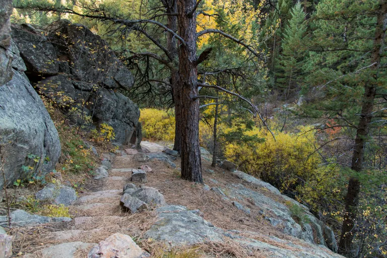 Steps on Bear Canyon Trail
