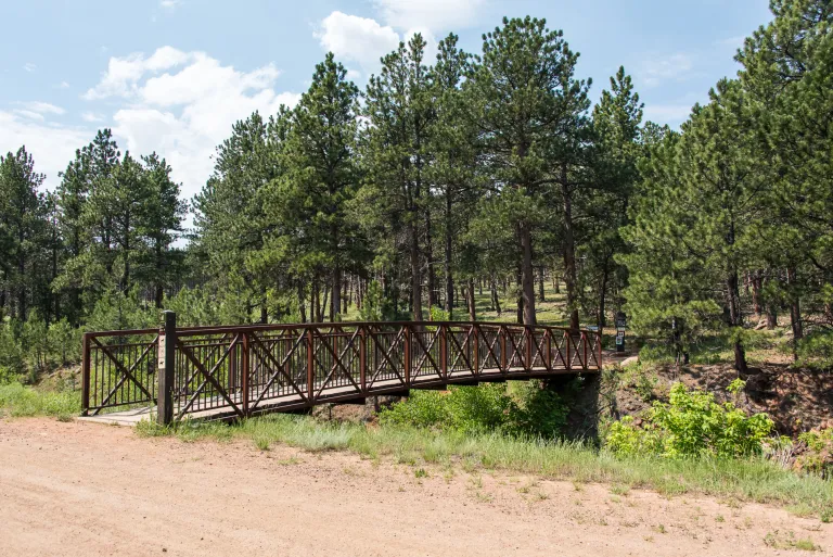 Bridge to Goshawk Ridge Trail