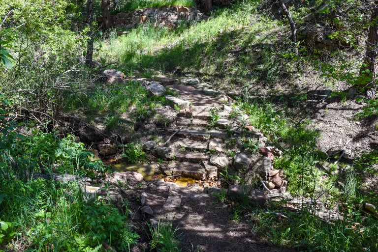 Stream crossing on Goshawk Ridge Trail