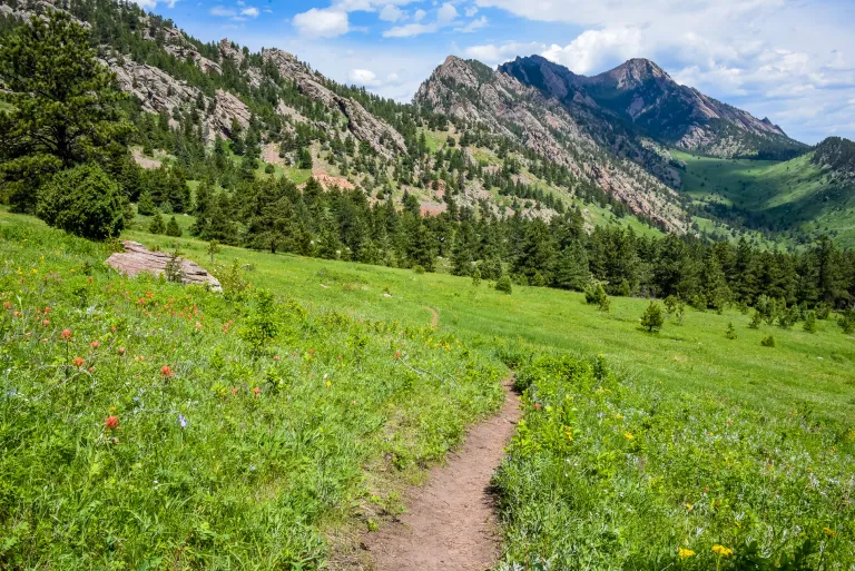 View north from Goshawk Ridge Trail