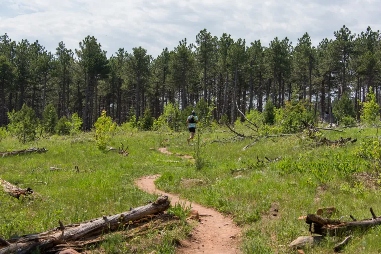 Trail runner on Goshawk Ridge Trail