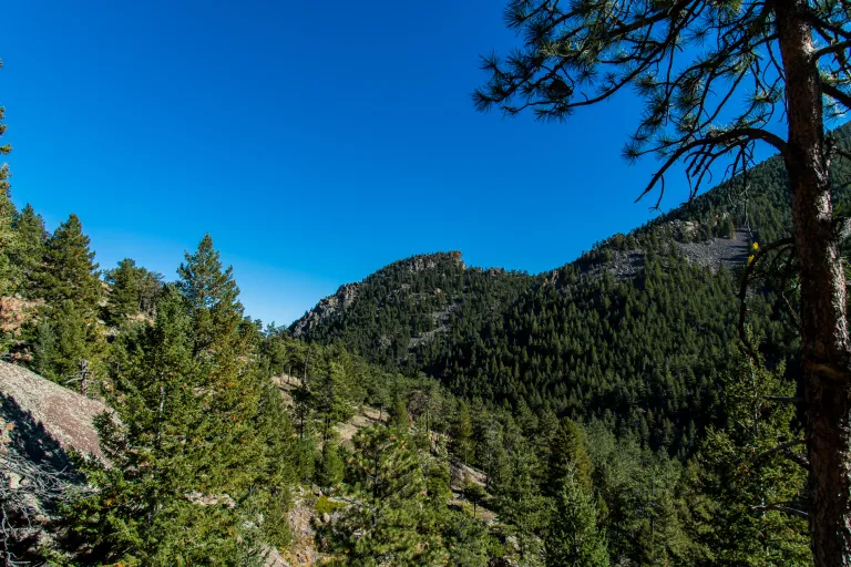 View from Green Bear Trail