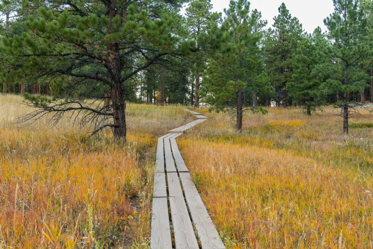 Mesa Trail boardwalk in Autumn
