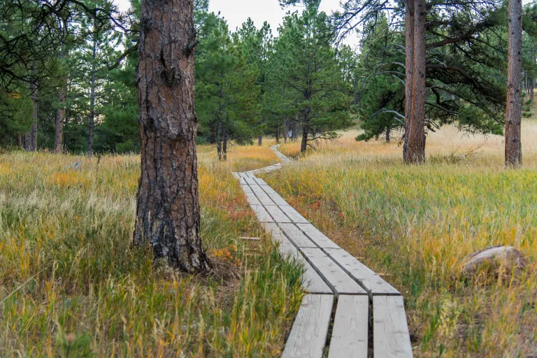 Mesa Trail boardwalk