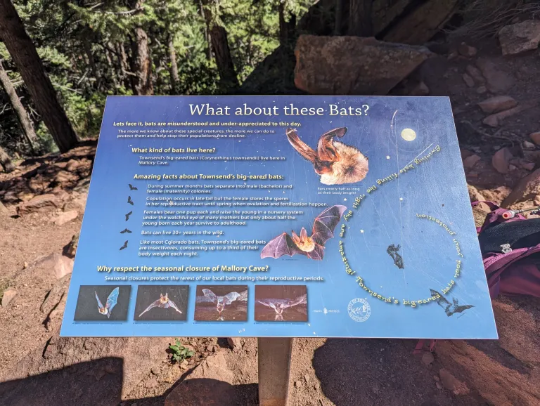 Sign about bats on Mallory Cave Trail