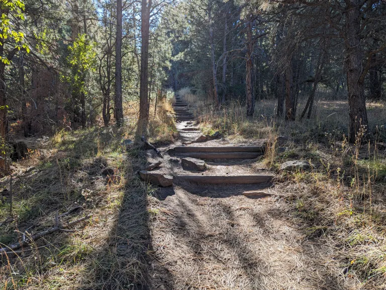 Log steps along the Upper McClintock Trail
