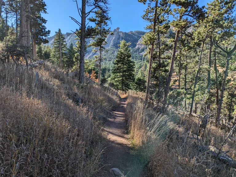Upper McClintock - a narrow dirt trail with a view of the Flatirons behind pine trees