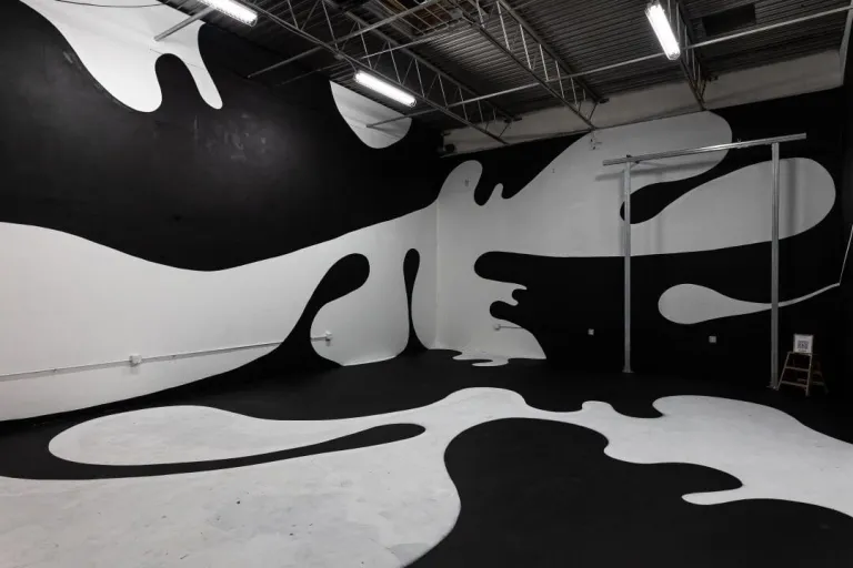 Mural of black and white organic forms across walls and the floor 