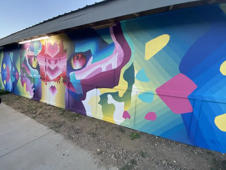 A mural of an abstract animal with many colors and shapes