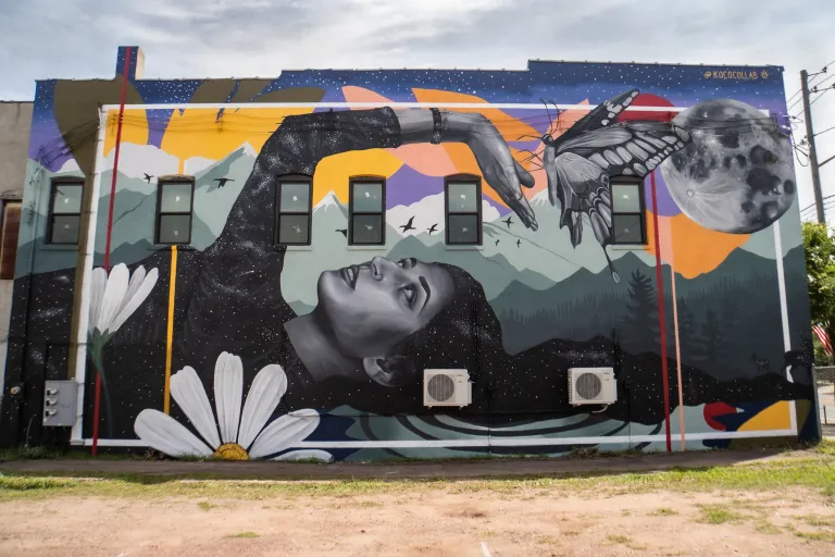 Full wall mural of a woman catching a butterfly in front of mountains 