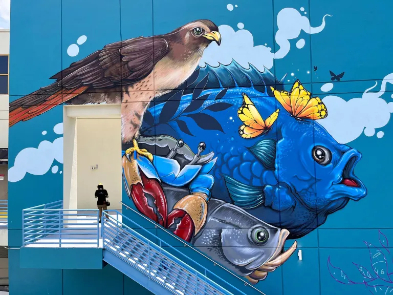 A large-scale mural of a bird in front of sea creatures 