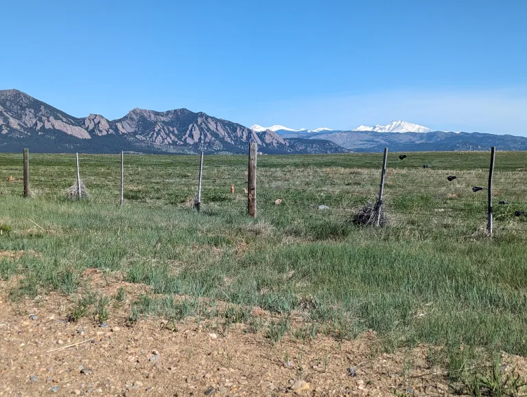 View of the Flatirons and a snowy Longs Peak from the Coalton Trail
