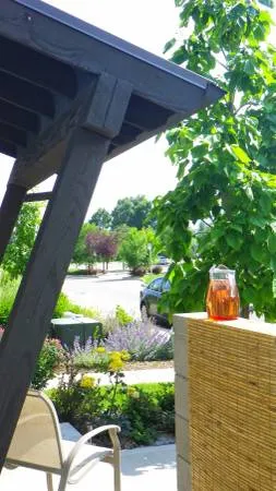 Patio view