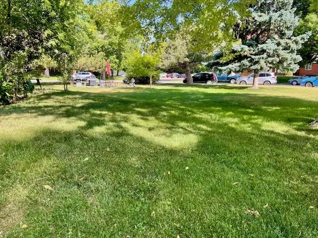 community green space