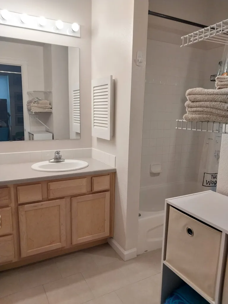 Bathroom view 