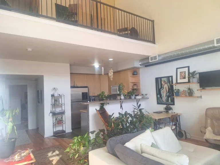5.4580 Broadway #228-Loft.jpg