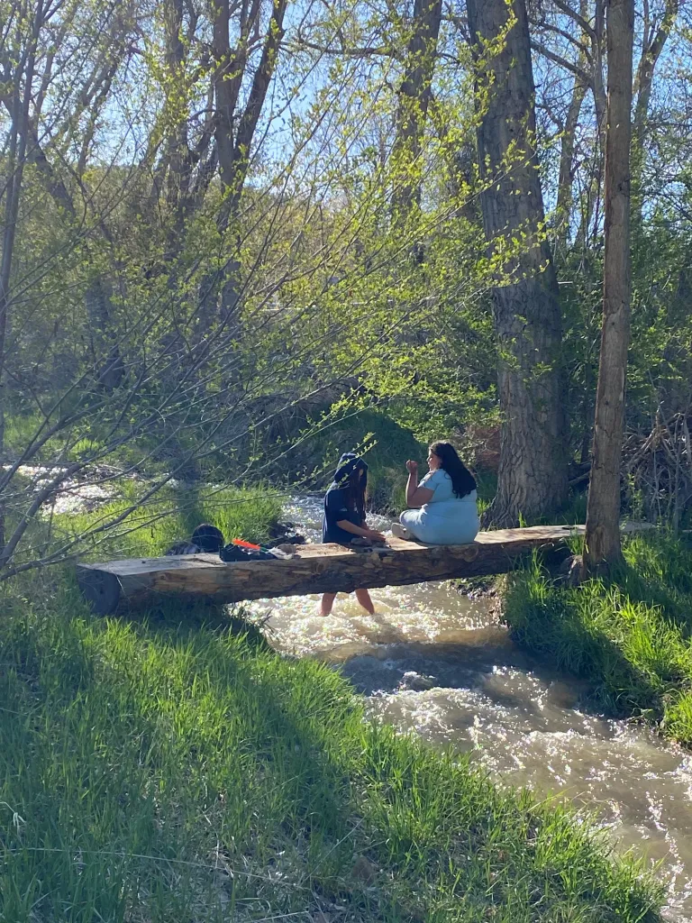 Neighbors sit on a log bridge over four mile canyon creek at Primos park.