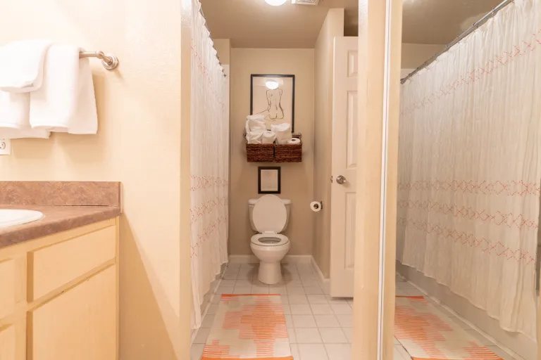 Bathroom with shower and toilet view