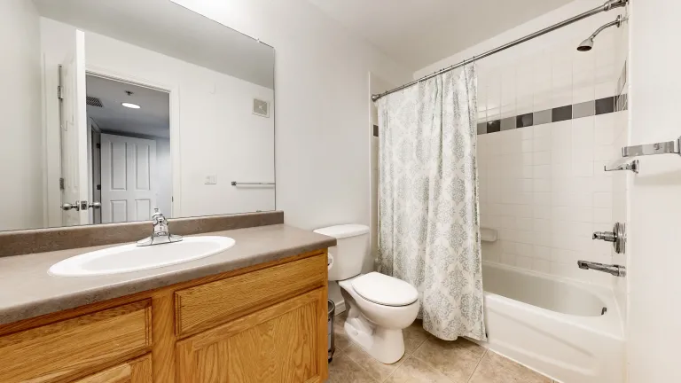 Hall Bathroom