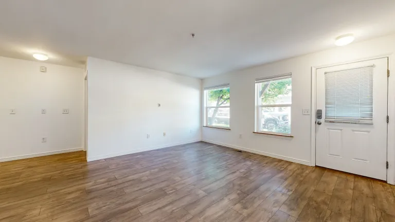 Livingroom windows