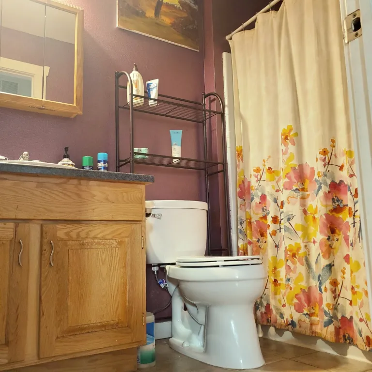 4549 Sunnyside Bathroom
