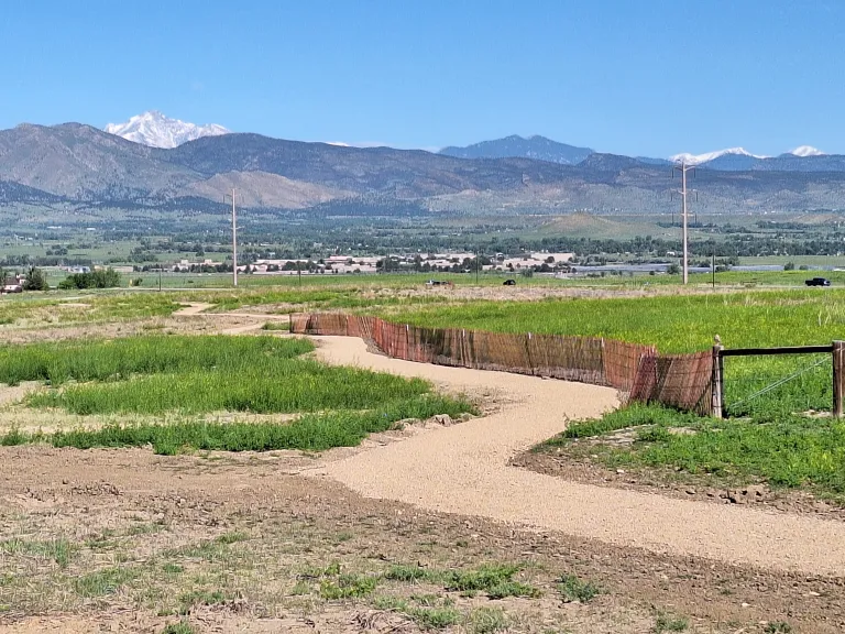 A gravel trail winds toward distant mountains with spring green grass on either side