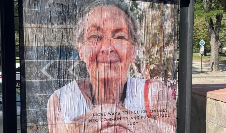 Artist image of a woman with text "more ways to include animals into community and public space."