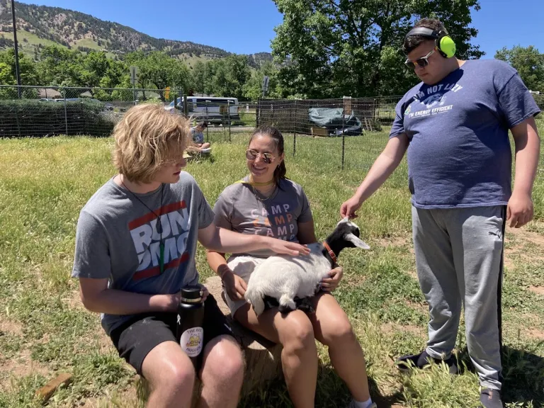 Camp Amico campers petting a goat