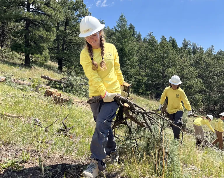 Junior rangers haul tree branches and limbs 