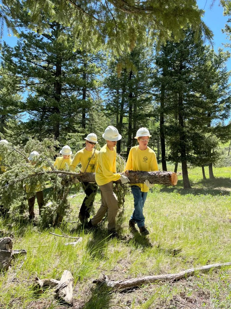 A team of Junior Rangers moves a cut down tree