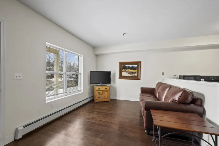 3380 Folsom #115 - Livingroom Couch and TV area