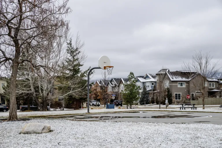 3671 Pinedale St G-Community basketball court