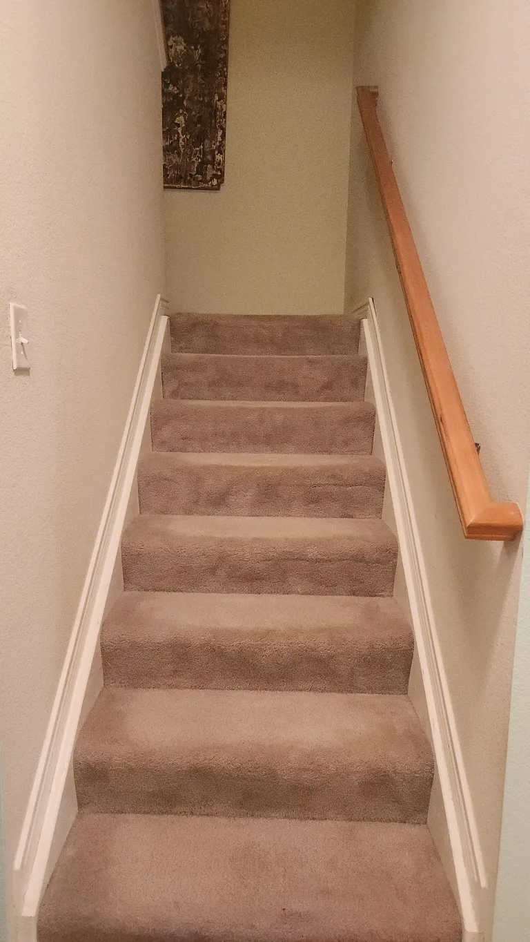 3295 Big Horn Street Stairs