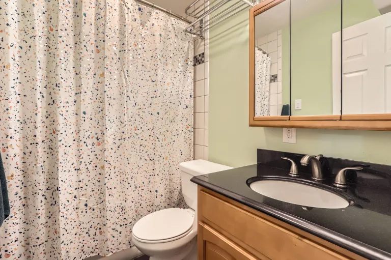 3249 Big Horn Street Unit C Boulder CO 80301 Lower level Bathroom