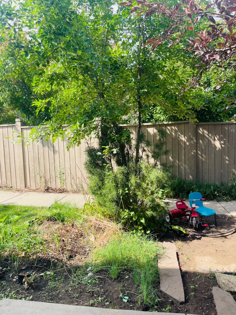 4573 Sunnyside Back yard space area