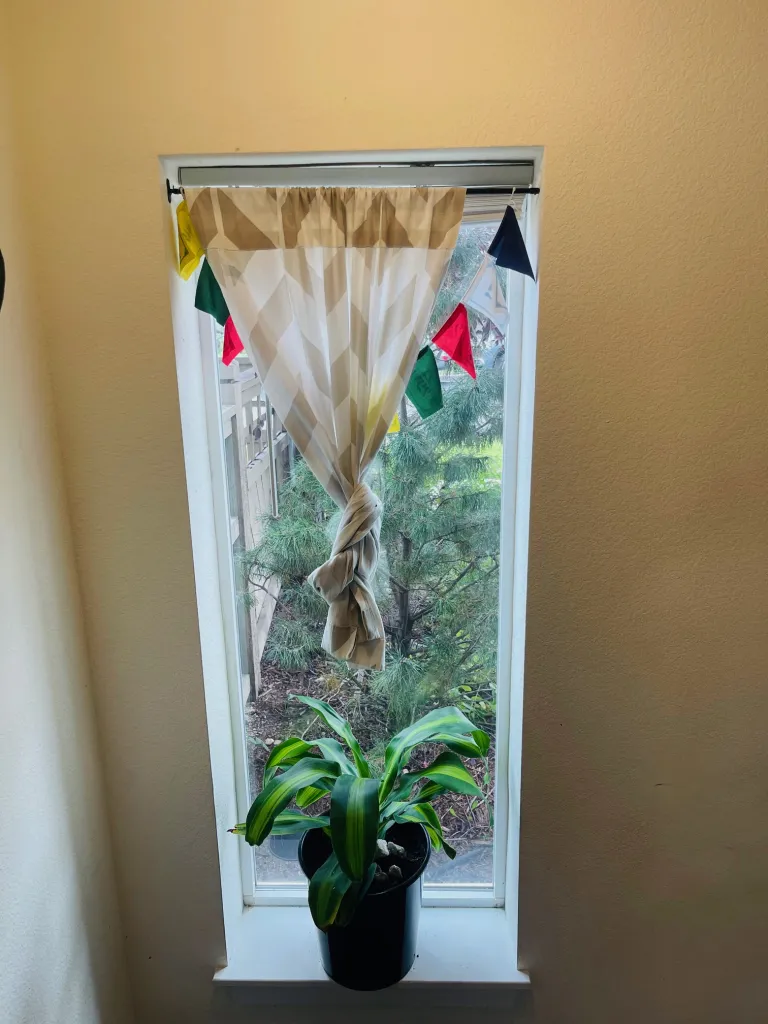 4573 Sunnyside Window