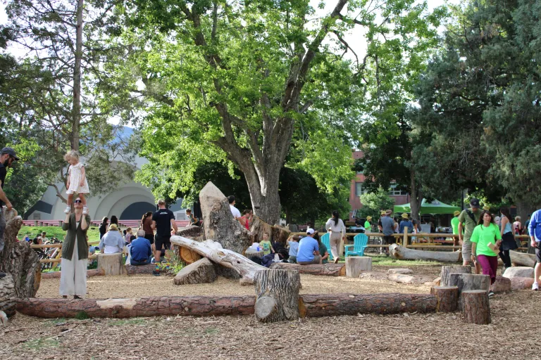 Los niños trepan por un tronco natural.
